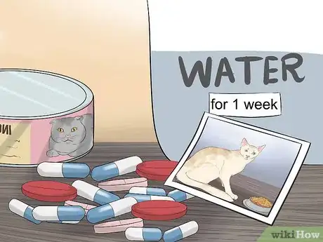 Image titled Take Care of Pets During a Hurricane Step 13