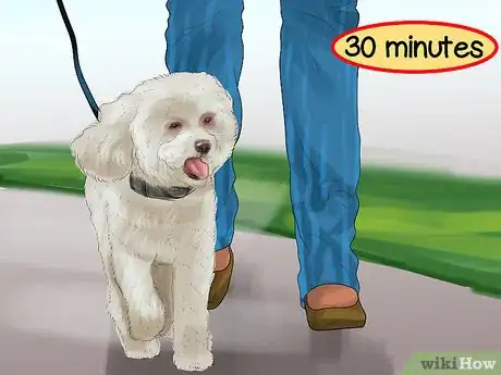 Image titled Keep Toy Breed Dogs Safe Around Kids Step 9