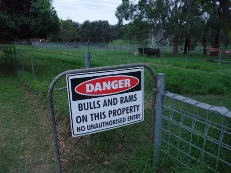 Image titled DANGER  Bulls and rams on this property