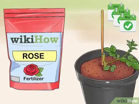 Image titled Grow Roses in Containers Step 13