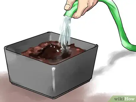 Image titled Grow Eggplants in Pots Step 13