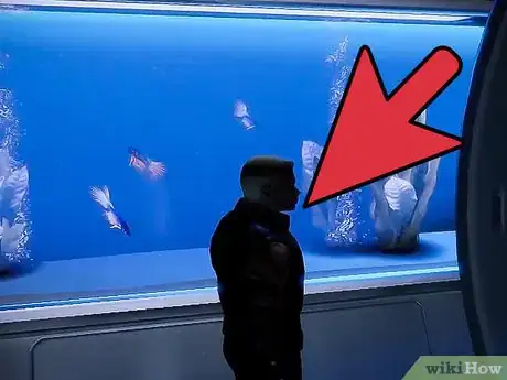 Image titled Buy a Pet in Mass Effect 2 Step 8