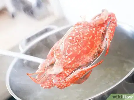 Image titled Boil Crab Step 9