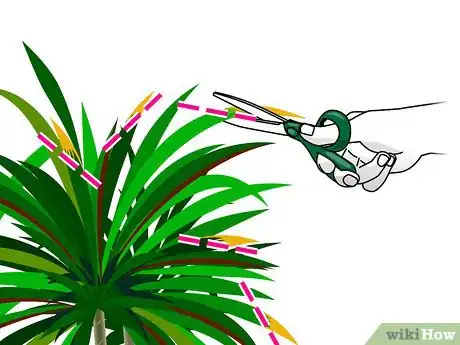 Image titled Prune Dracaena Step 05