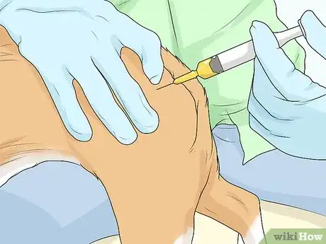 Image titled Treat Joint or Spinal Issues in Dogs with Prolotherapy Step 4