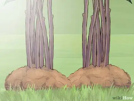 Image titled Prune Spirea Shrubs Step 11