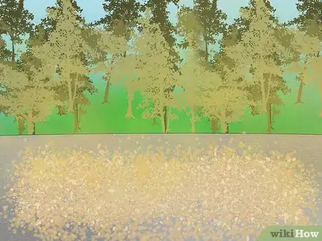 Image titled Harvest Coffee Beans Step 8