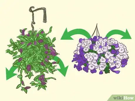 Image titled Choose Outdoor Hanging Plants Step 10