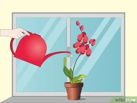 Image titled Care for Orchids Step 6
