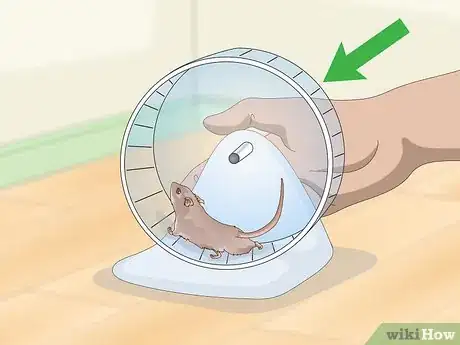 Image titled Exercise Your Gerbil Step 1