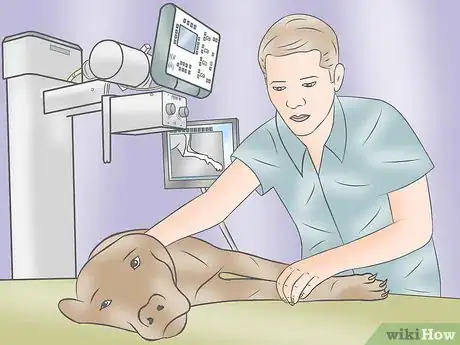 Image titled Become a Veterinary Technician Step 8
