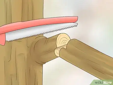 Image titled Prune Nyssa Sylvatica Step 9