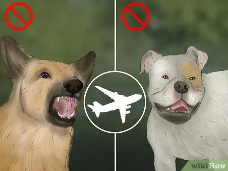 Image titled Travel Safely With Dogs Step 1