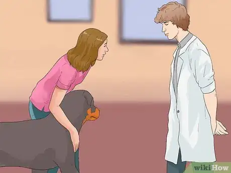 Image titled Diagnose Arthritis in Rottweilers Step 6