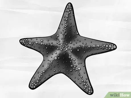 Image titled Draw a Starfish Step 5