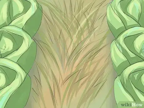 Image titled 2004813 8