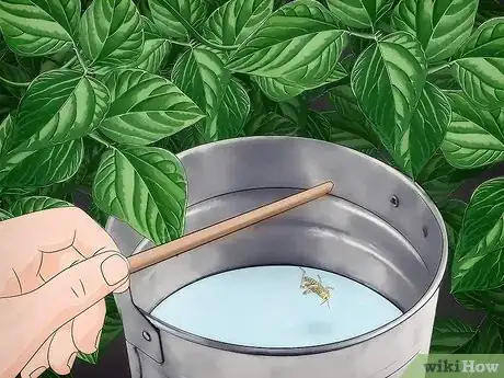 Image titled Get Rid of Grasshoppers Step 3