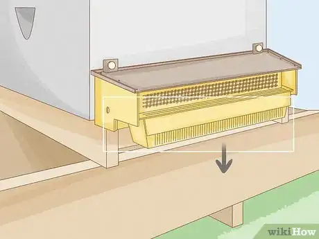 Image titled Store Pollen Step 16