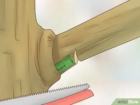 Image titled Prune Nyssa Sylvatica Step 8