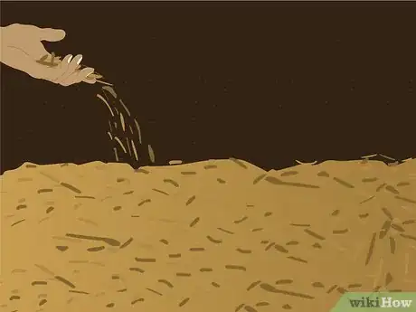 Image titled Seed a Lawn Step 10