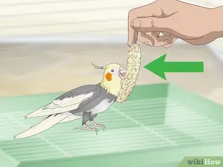 Image titled Entertain a Cockatiel Step 7