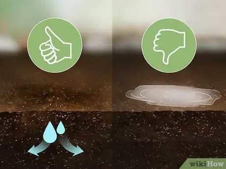 Image titled Grow Oca Step 6