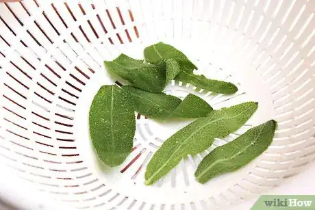 Image titled Dry Sage Step 4