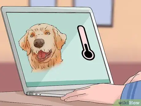 Image titled Choose an Active Dog Step 4