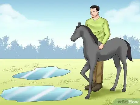 Image titled Train a Horse to Walk Through Water Step 3