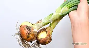 Rid Your Produce of Pesticide Residue