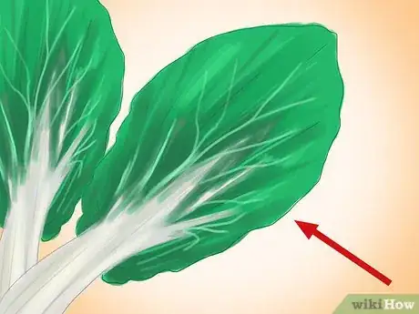 Image titled Regrow Bok Choy Step 9