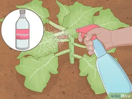 Image titled Garden when You Have a Dog Step 7