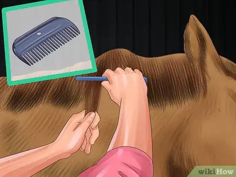 Image titled Assemble a Horse Grooming Kit Step 11