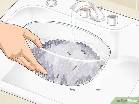 Image titled Extract Elderberry Juice Step 1