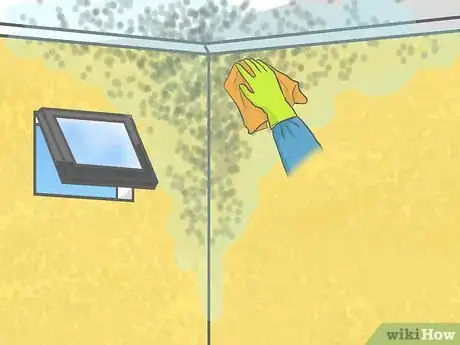 Image titled Remove Mildew from Sheetrock Step 6