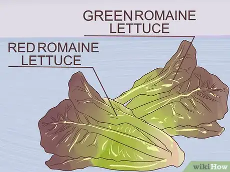 Image titled Add Protein to a Salad Step 11