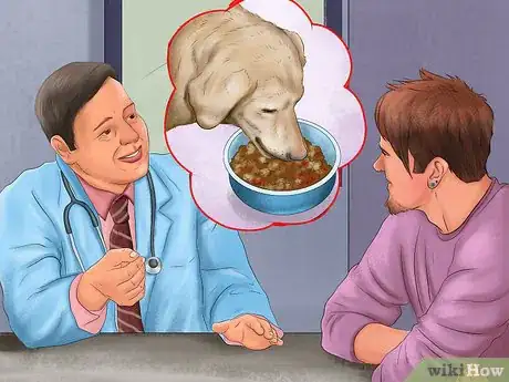 Image titled Treat Obesity in Labrador Retrievers Step 1