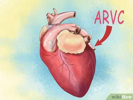 Image titled Diagnose Heart Conditions in Boxers Step 4