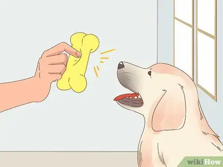 Image titled Care for a Dog Blind from Birth Step 12