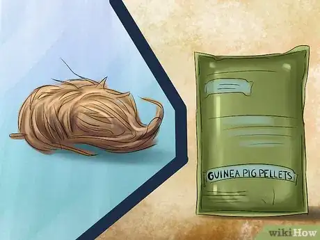 Image titled Adopt a Guinea Pig Step 10