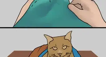 Make a Crinkle Play Bag for Your Cat