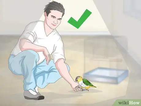 Image titled Handle Your Caique Parrot Step 11