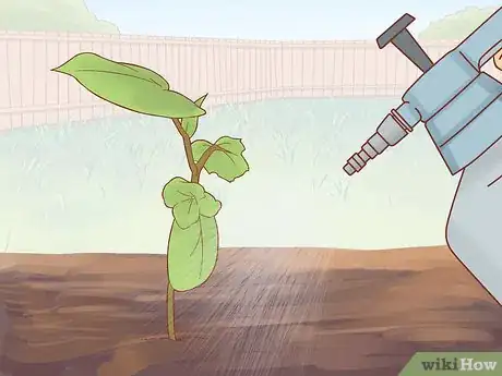 Image titled Grow Cucumbers Step 18