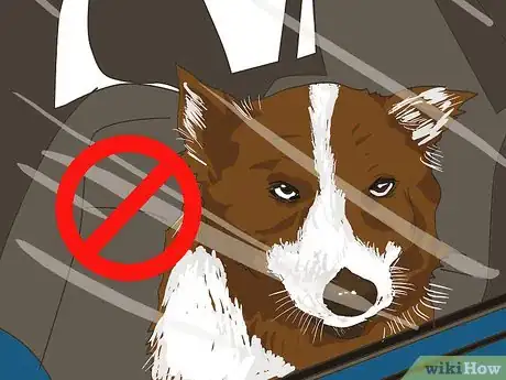 Image titled Handle Holiday Travel with Your Pet Step 5
