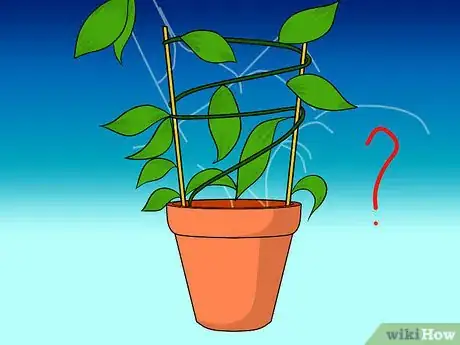 Image titled Make a Vanilla Orchid Plant Bloom Step 1