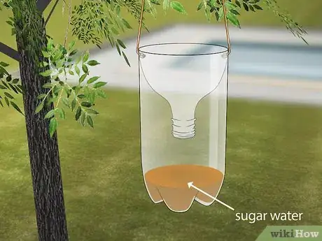 Image titled Keep Bees Away from Your Pool Step 5