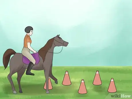 Image titled Care for an Arabian Horse Step 7