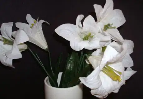 Image titled Lilies white in white vase