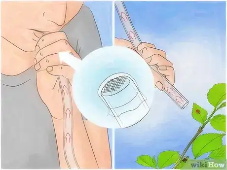 Image titled Make an Insect Catching Kit Step 12