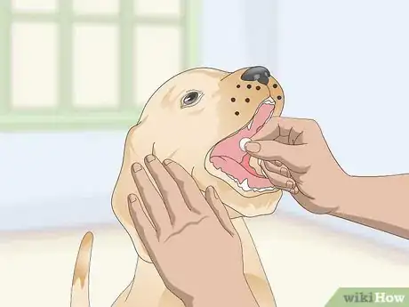 Image titled Treat Canine Tick Problems Step 9